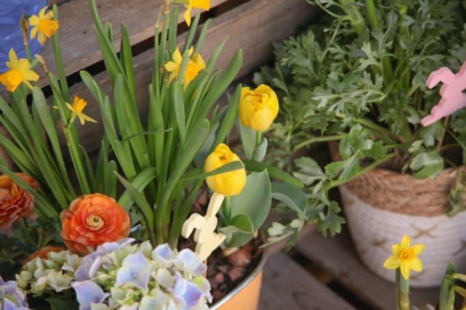 Pâques approche à grands pas ! photo 11